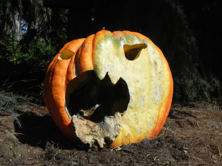 Pumpkin Carving Idea Big Mouth